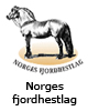 norges_fjordhestlag