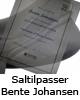 saltilpasser_bente_johansen