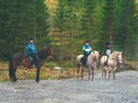 Ridetur til Lisjedalen 2001: Janita Sporstøl/Loverboy, Liv Jorunn Nyhagen/Stjerneprinsen, Lena Mari Heltne/Virm